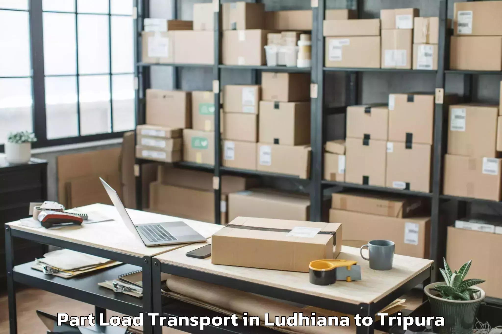 Hassle-Free Ludhiana to Amarpur Part Load Transport